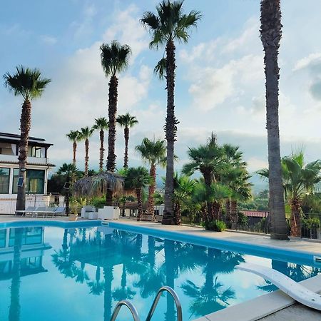 Palm House Bed & Breakfast Lamezia Terme Bagian luar foto